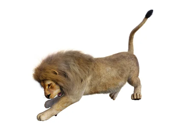 白の 3 d レンダリングの雄ライオン — ストック写真