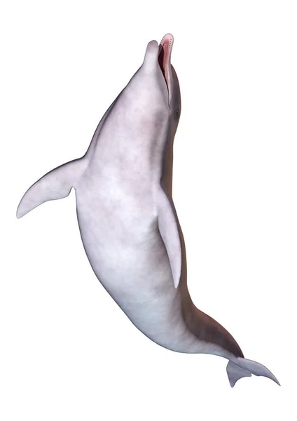 在白色的 3d 渲染海豚。 — 图库照片