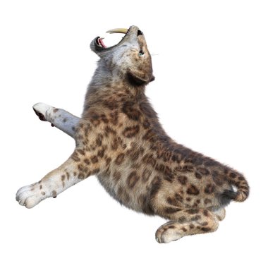 3D render Sabertooth kaplan beyaz