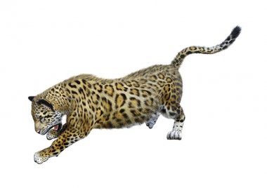 3D render büyük kedi Jaguar beyaz