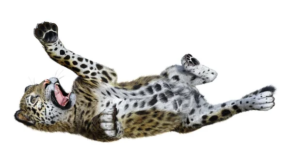 Representación 3D Big Cat Jaguar en blanco — Foto de Stock