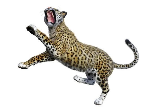 3D rendering stor katt Jaguar på vit — Stockfoto