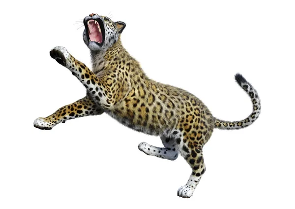 3D renderização Big Cat Jaguar em branco — Fotografia de Stock