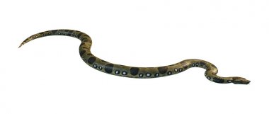 3D beyaz yeşil anakonda oluşturma