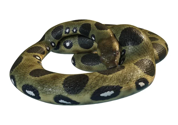 Representación 3D Anaconda verde en blanco — Foto de Stock