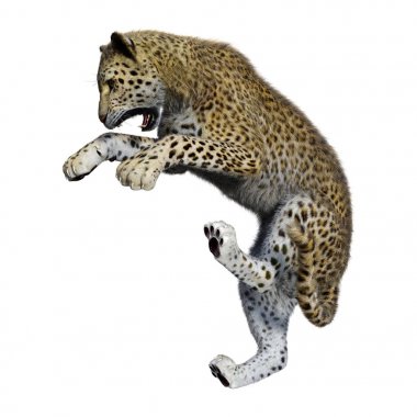 3D render büyük kedi Leopard üzerinde beyaz