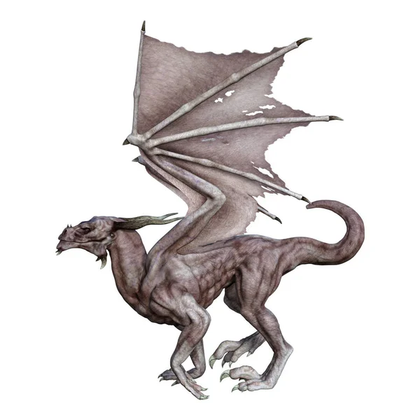 3D Rendering Fantasy Vampire Dragon su Bianco — Foto Stock