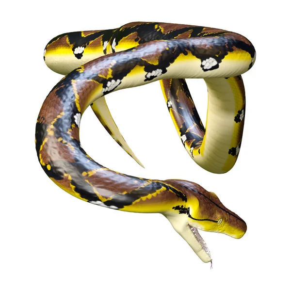 3D rendering Reticulated Python op wit — Stockfoto
