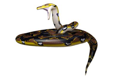 3D render retiküle Python beyaz