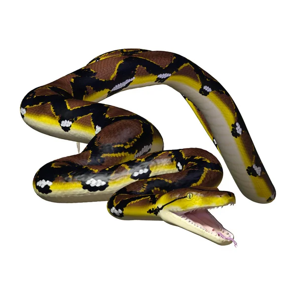 Rendu 3D Python réticulé sur blanc — Photo