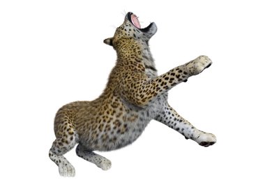 3D render büyük kedi Leopard üzerinde beyaz