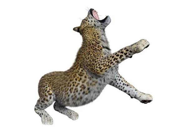 3D rendering Big Cat luipaard op wit — Stockfoto