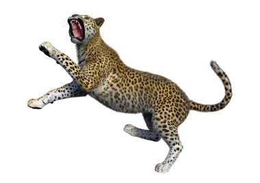 3D render büyük kedi Leopard üzerinde beyaz