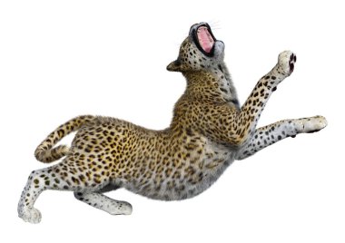 3D render büyük kedi Leopard üzerinde beyaz