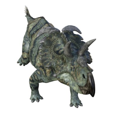 3D render dinozor Albertaceratops beyaz