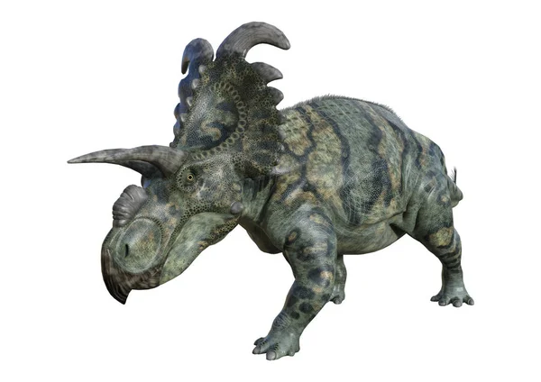 Renderizado 3D de dinosaurios Albertaceratops en blanco — Foto de Stock