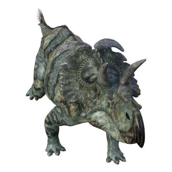 Dinossauro de renderização 3D Albertaceratops em branco — Fotografia de Stock