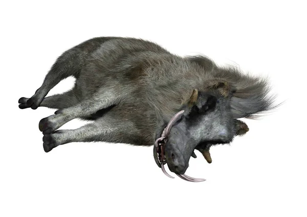 3D renderização Warthog comum no branco — Fotografia de Stock