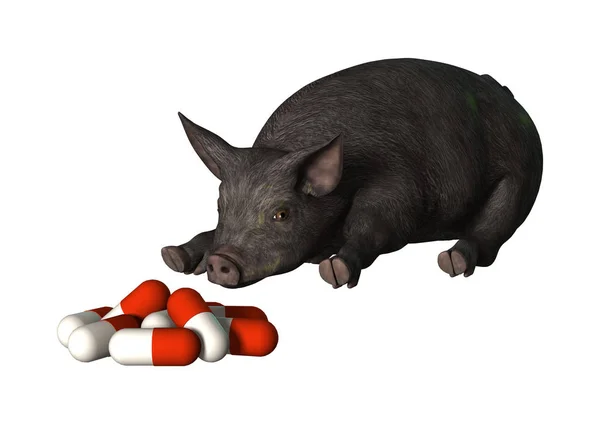 3D render domuz ve beyaz hapları — Stok fotoğraf