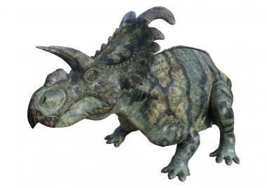 3D render dinozor Albertaceratops beyaz