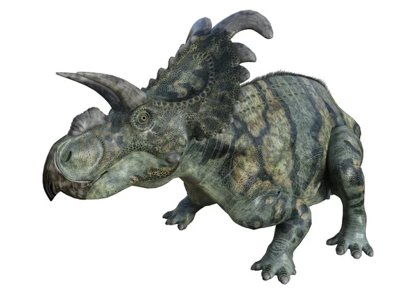 3D render dinozor Albertaceratops beyaz — Stok fotoğraf