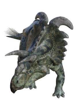 3D render dinozor Albertaceratops beyaz