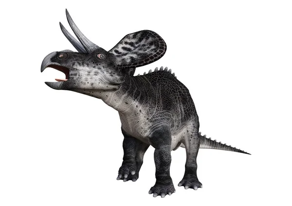 3D rendering dinoszaurusz Zuniceratops a fehér — Stock Fotó