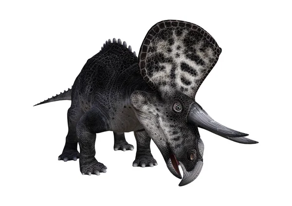 白の 3 d のレンダリング恐竜ズニケラトプス — ストック写真