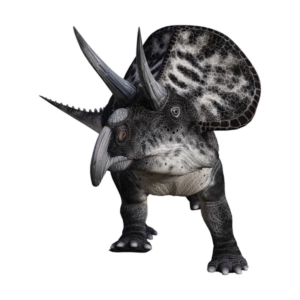 Dinossauro de renderização 3D Zuniceratops em branco — Fotografia de Stock