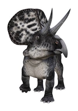 3D render dinozor Zuniceratops beyaz