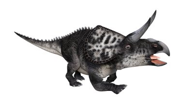 3D render dinozor Zuniceratops beyaz