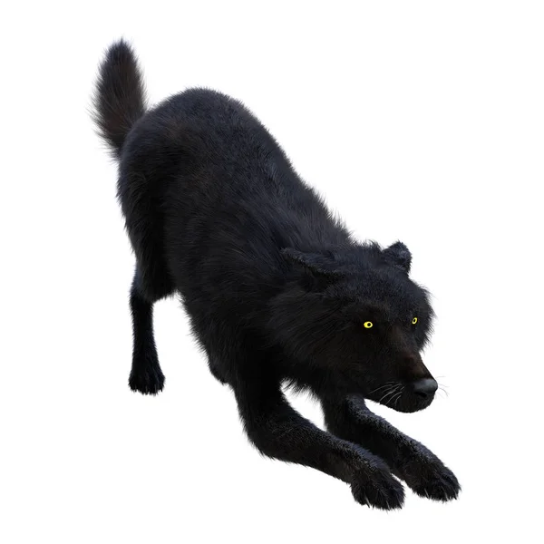 3D renderização lobo preto no branco — Fotografia de Stock