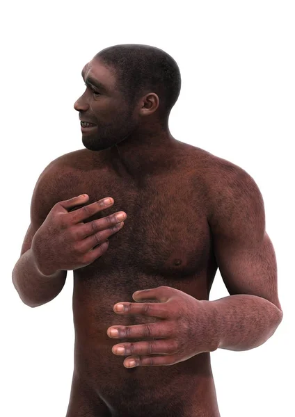 Renderização 3D Homo Erectus em Branco — Fotografia de Stock