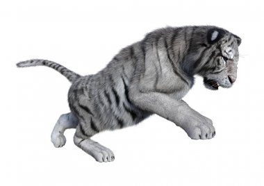 3D beyaz beyaz kaplan oluşturma