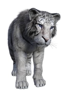 3D beyaz beyaz kaplan oluşturma