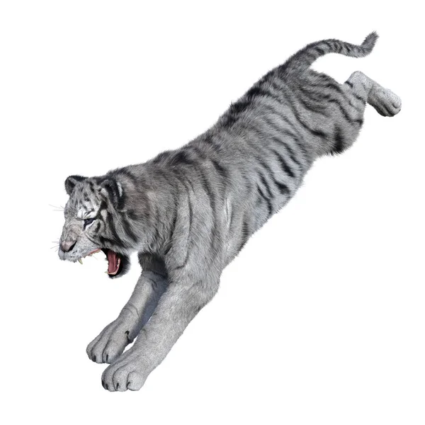 3D que rinde el tigre blanco en blanco — Foto de Stock