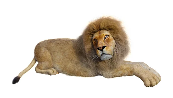 3D rendering manliga lionen på vit — Stockfoto