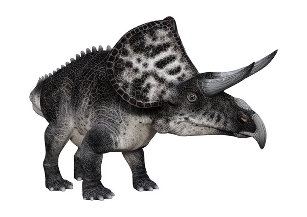 Dinosauro di rendering 3D Zuniceratops su bianco — Foto Stock