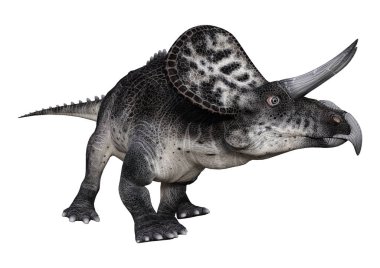 3D render dinozor Zuniceratops beyaz