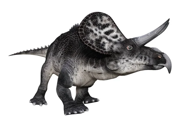 3D rendering dinosaurie Zuniceratops på vit — Stockfoto
