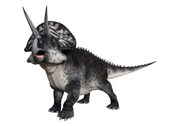 Dinossauro de renderização 3D Zuniceratops em branco — Fotografia de Stock