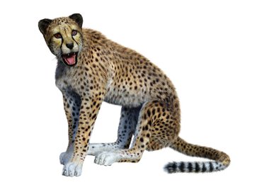 3D render büyük kedi Cheetah beyaz