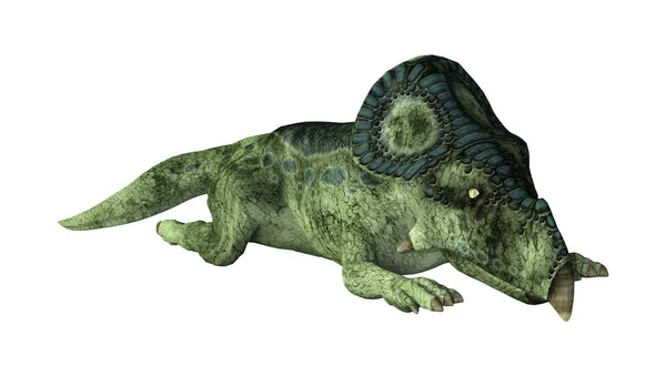 3D rendering dinosaurus Protoceratops op wit — Stockfoto