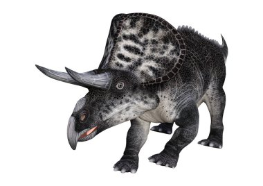 3D render dinozor Zuniceratops beyaz