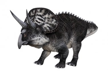 3D render dinozor Zuniceratops beyaz
