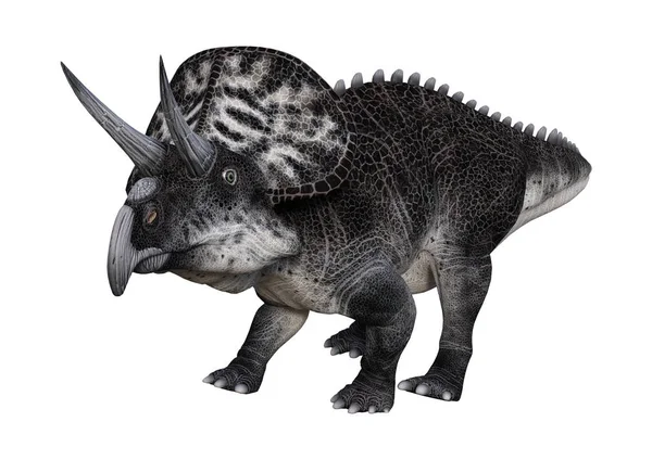 3D renderowania Zuniceratops dinozaur na białym — Zdjęcie stockowe