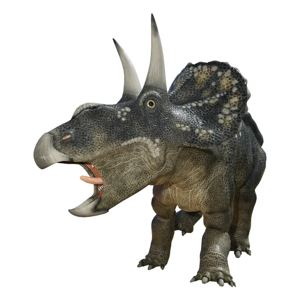 Dinossauro de renderização 3D Diceratops em branco — Fotografia de Stock