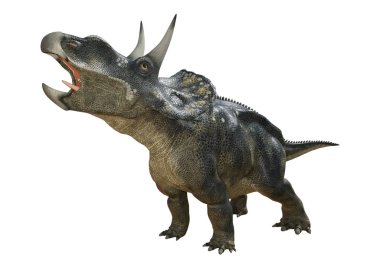 3D render dinozor Diceratops beyaz