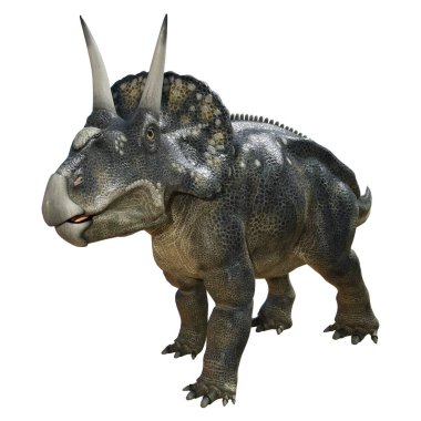 3D render dinozor Diceratops beyaz