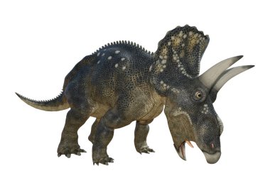 3D render dinozor Diceratops beyaz